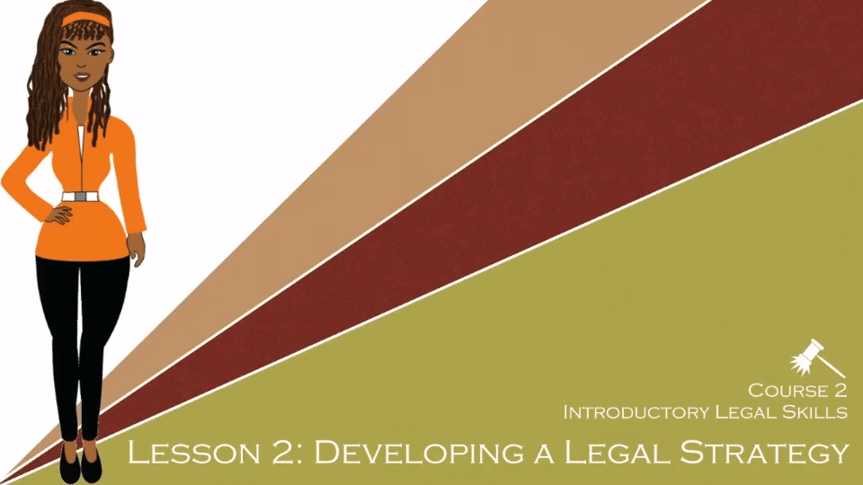 Developing a Legal Strategy
