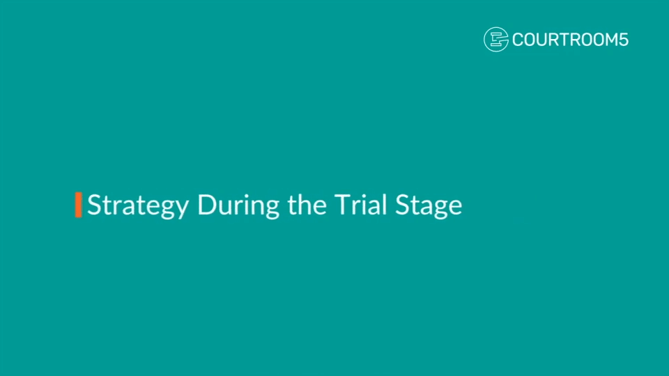 Strategy During the Trial Stage