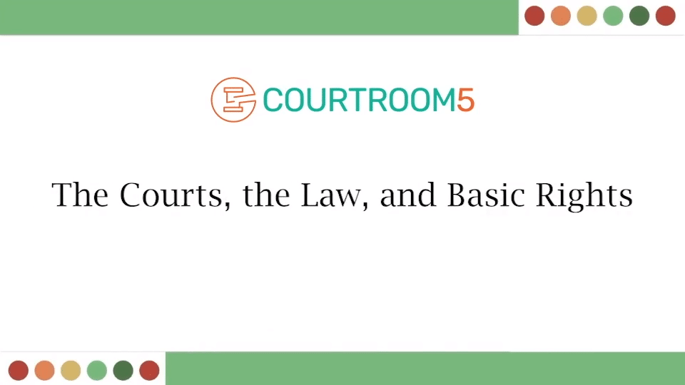The Courts, the Law, and Basic Rights