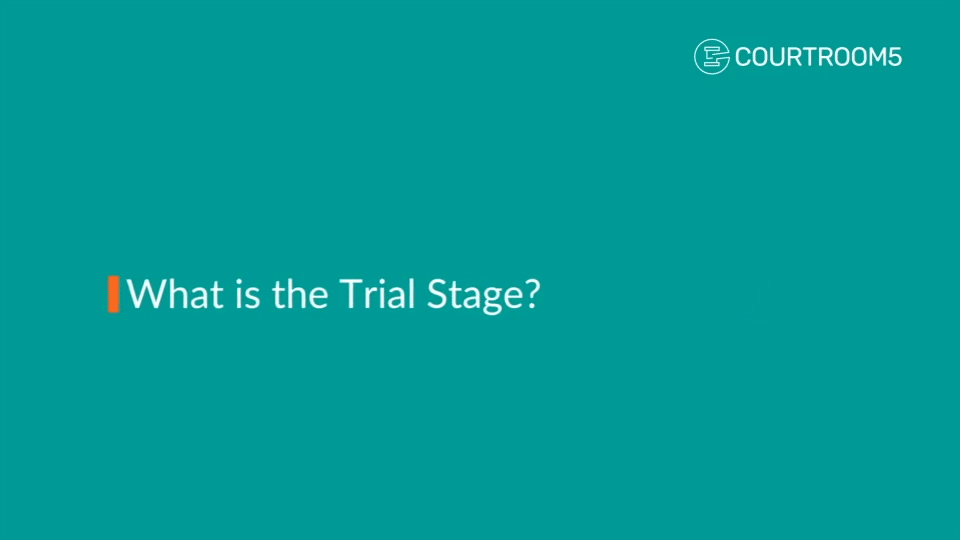 What is the Trial Stage?